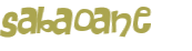 Captcha 챌린지