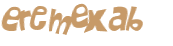 CAPTCHA 挑戰