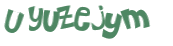 Captcha 챌린지