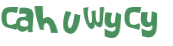 Desafio Captcha