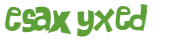 CAPTCHA 挑戰