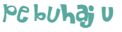 Desafio Captcha