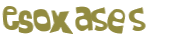 CAPTCHA 挑戰