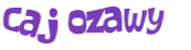 Wyzwanie captcha