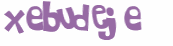 Wyzwanie captcha