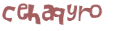 Desafio captcha