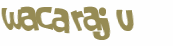 Captcha 챌린지