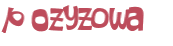 Wyzwanie captcha