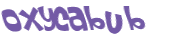 Captcha 챌린지
