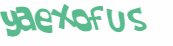Captcha挑战