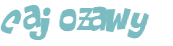 Wyzwanie captcha