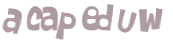 CAPTCHA 挑戰