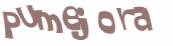 Prueba Captcha