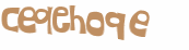 Desafio Captcha