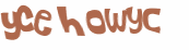 Captcha-Test