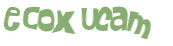 Wyzwanie captcha