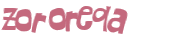 CAPTCHA-haaste