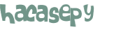Captcha 챌린지