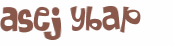 Desafio Captcha