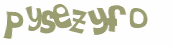 Captcha 챌린지