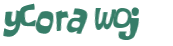 Sfida captcha