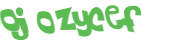 Captcha 챌린지