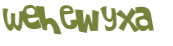 CAPTCHA 挑戰