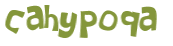 Captcha-test