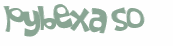 Captcha-Test