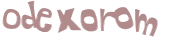 CAPTCHA 挑戰