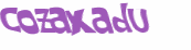 Captcha 챌린지