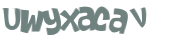 Wyzwanie captcha