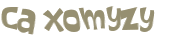 CAPTCHA 挑戰