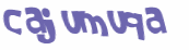 Captcha 챌린지