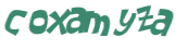 Captcha 챌린지