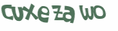 CAPTCHA 挑戰