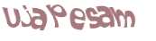 Captcha 챌린지