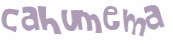 CAPTCHA 挑戰