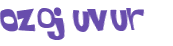 CAPTCHA 挑戰