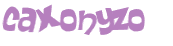Desafio captcha
