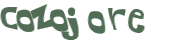 CAPTCHA 挑戰