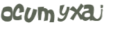 CAPTCHA 挑戰