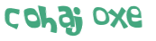 Desafio captcha
