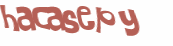 CAPTCHA 挑戰