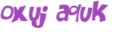 CAPTCHA 挑戰
