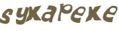 Wyzwanie captcha