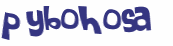 Captcha 챌린지