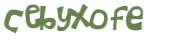 CAPTCHA 挑戰