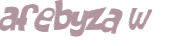 Wyzwanie captcha