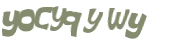 Captchafråga